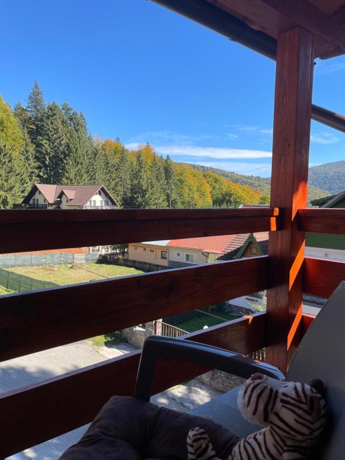 Apartament Lexannona Buşteni Exterior foto